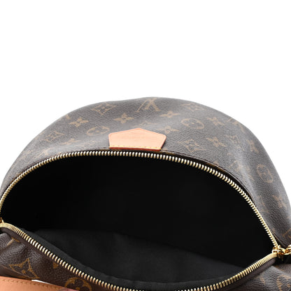 Louis Vuitton Monogram Bumbag 4 of 4