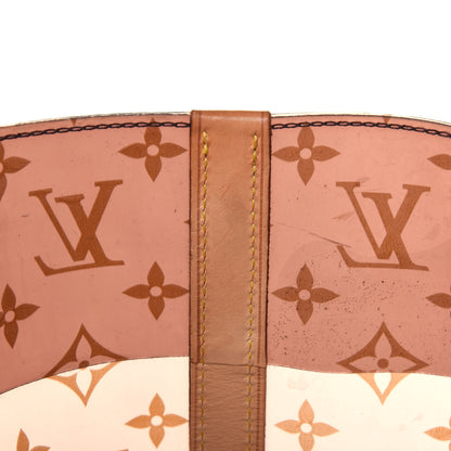 Louis Vuitton Vinyl Cabas Sac Ambre GM 9 of 31