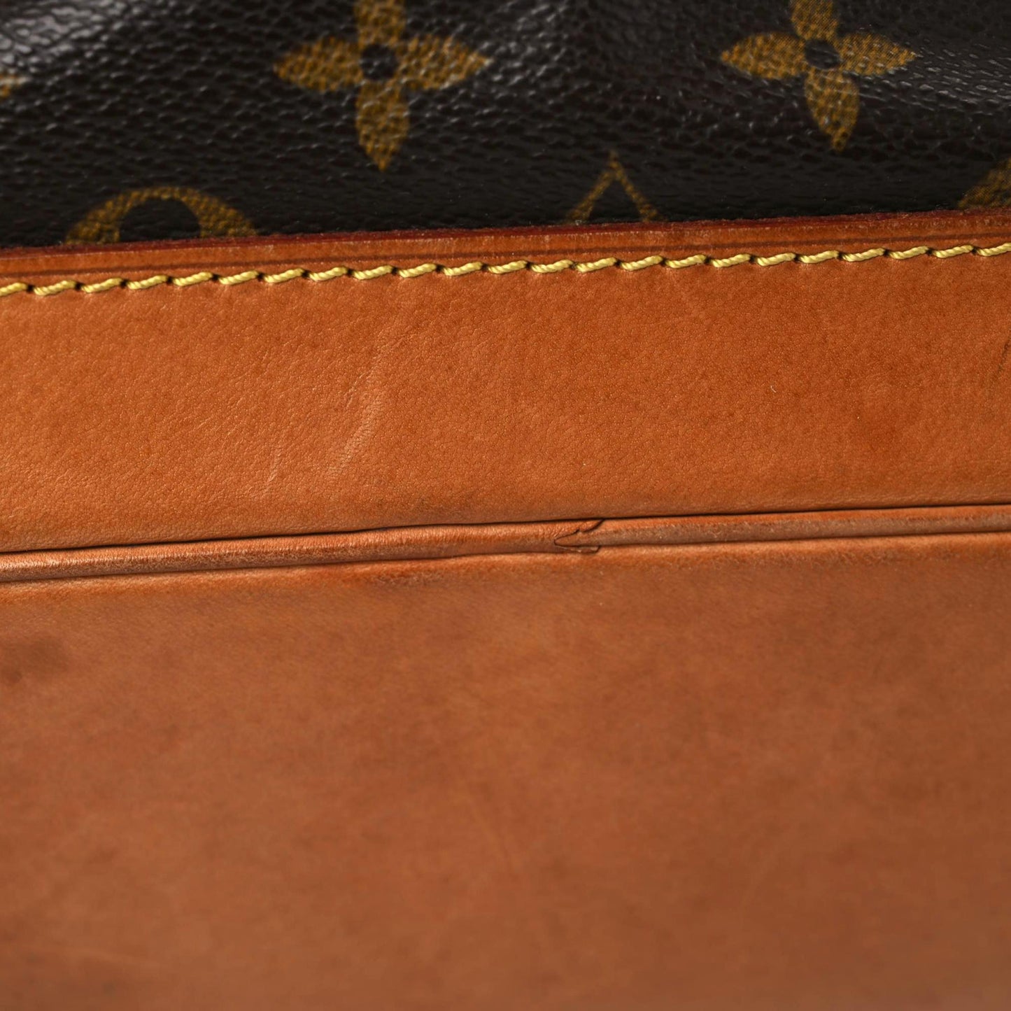Monogram Montsouris GM Backpack