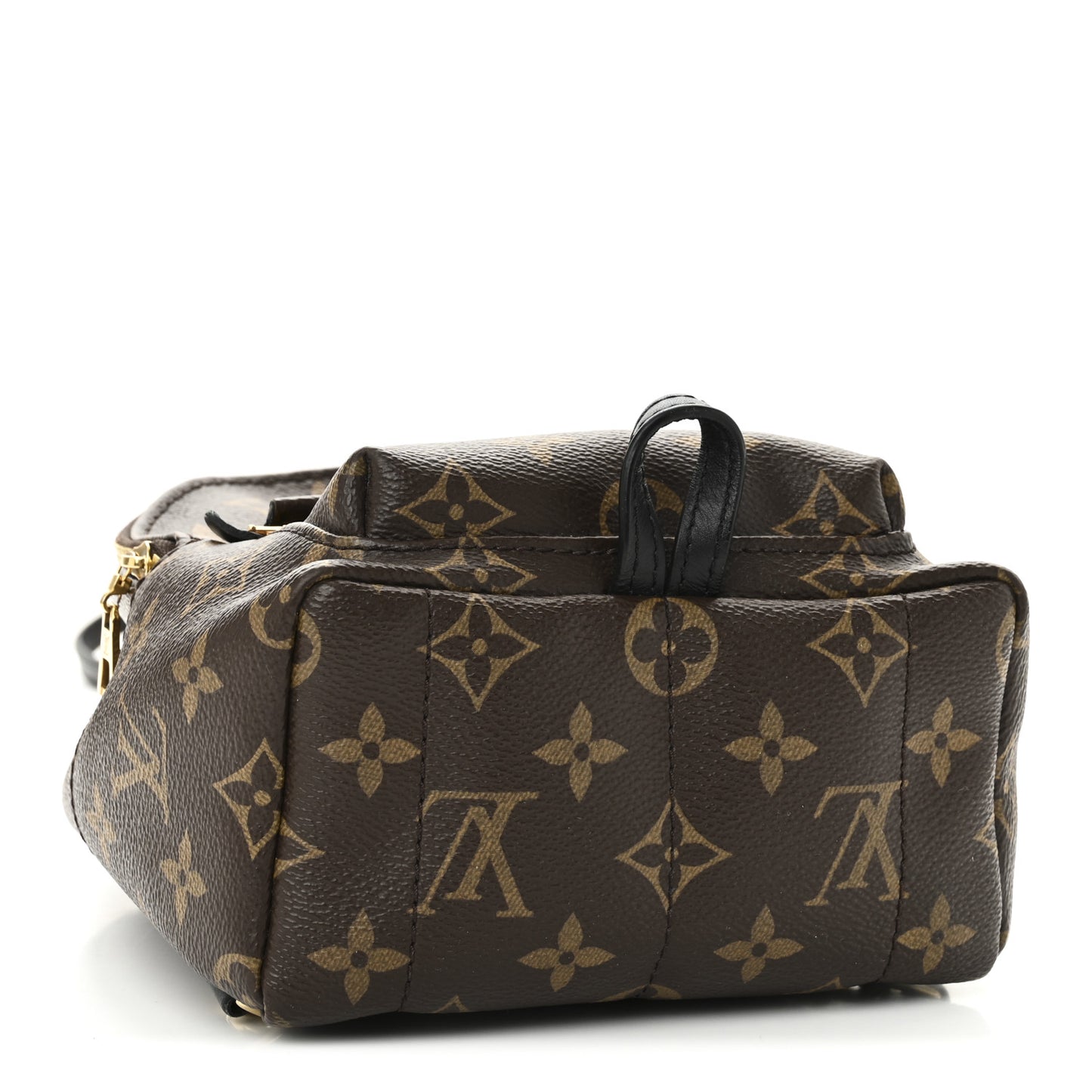 Monogram Palm Springs Backpack Mini