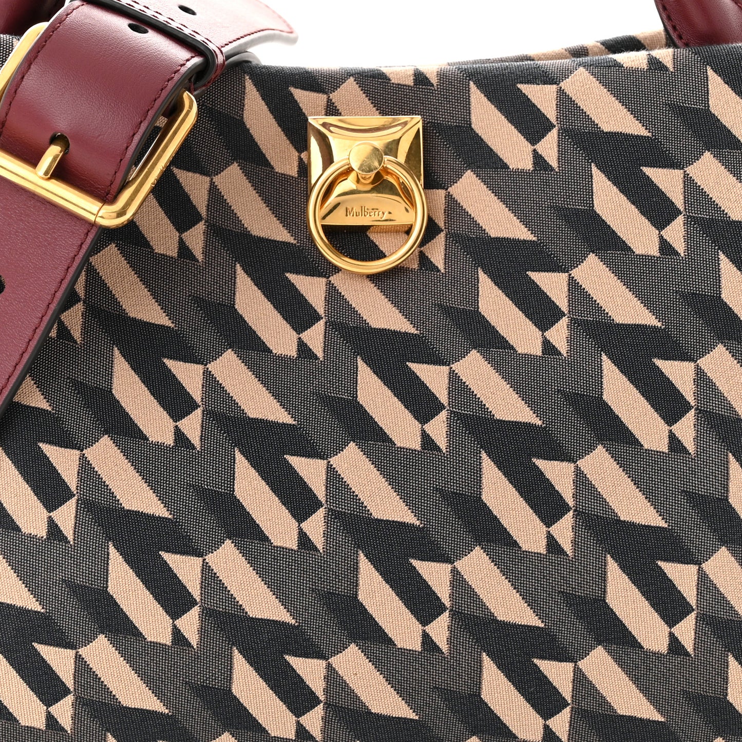 Calfskin Canvas Print Small Iris Tote Crimson