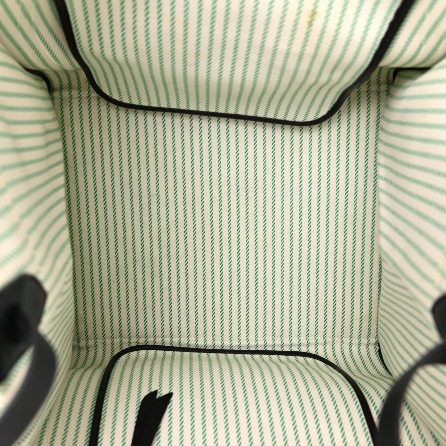 Cotton Canvas Striped Medium Phantom Luggage White Green