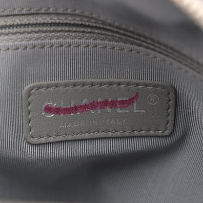 Chanel Metallic Lambskin Plexiglass Evening Art Camera Case Silver 6 of 11