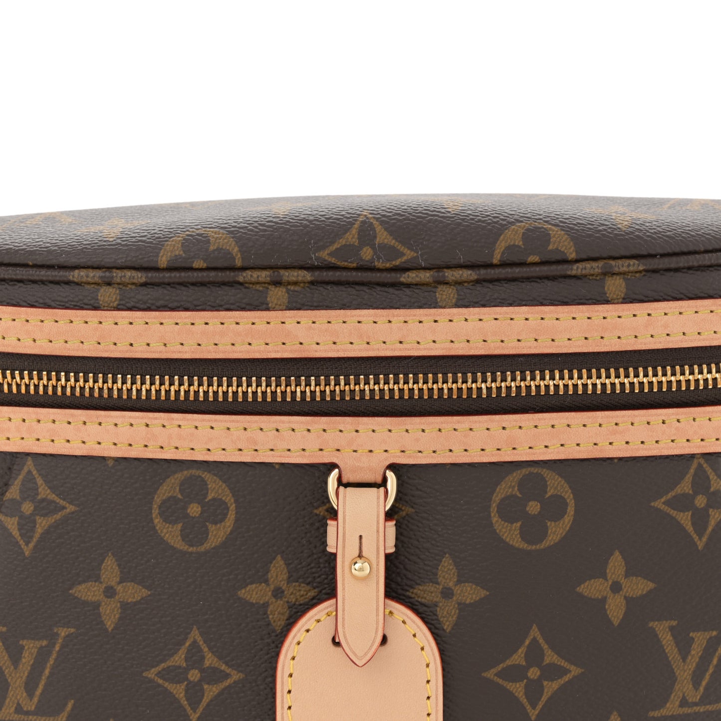 Monogram High Rise Bumbag