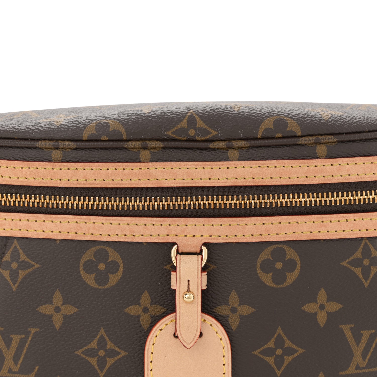 Louis Vuitton Monogram High Rise Bumbag 7 of 10