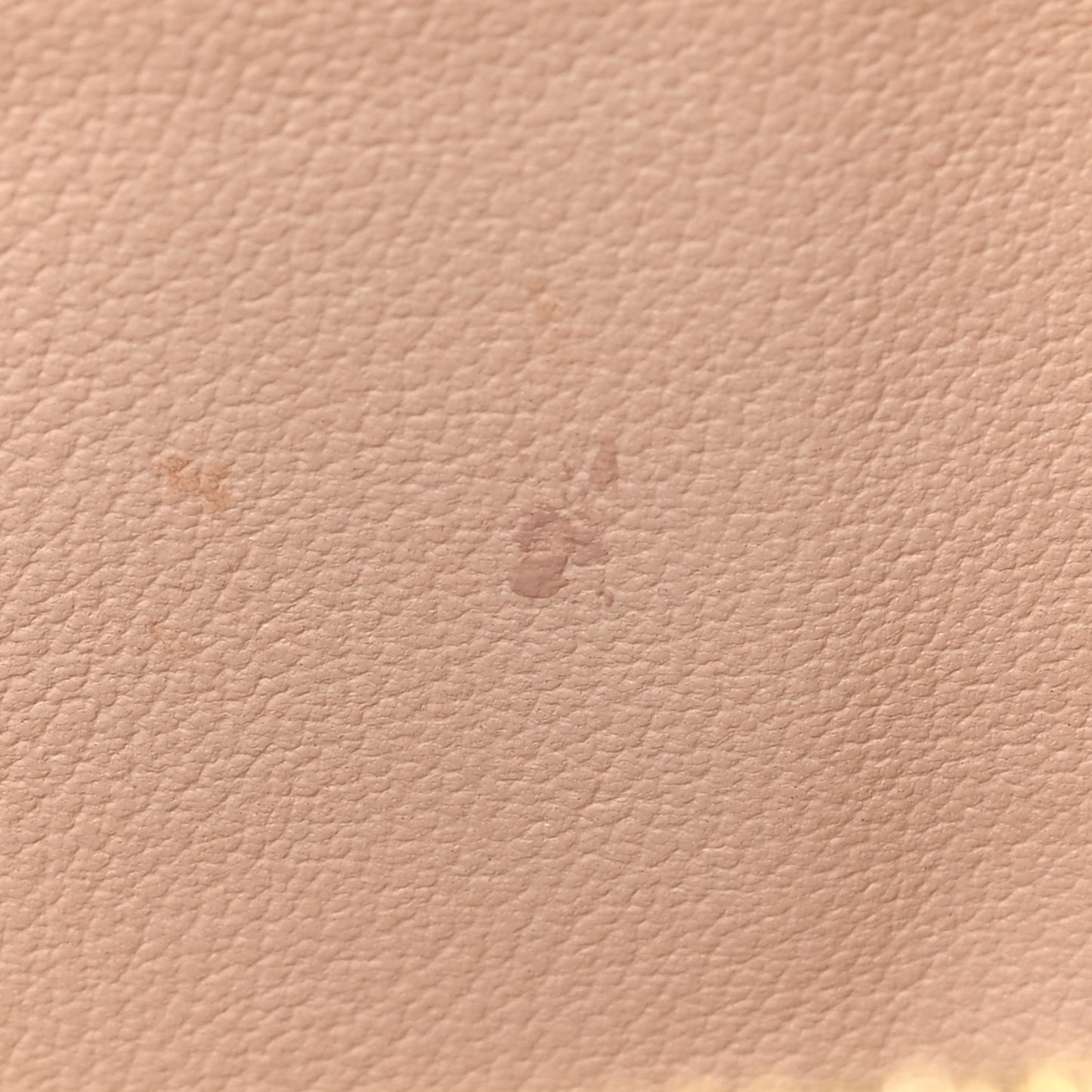 Monogram Nice BB
