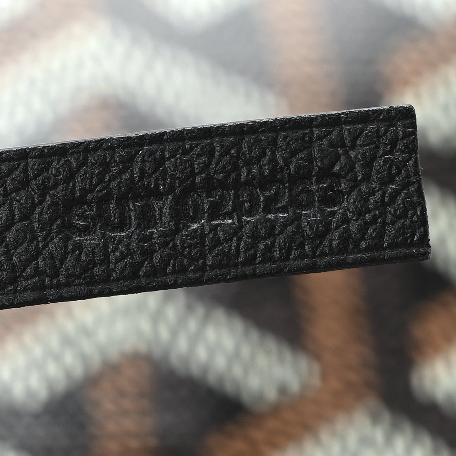 Goyard Goyardine Saint Louis PM Black 8 of 11