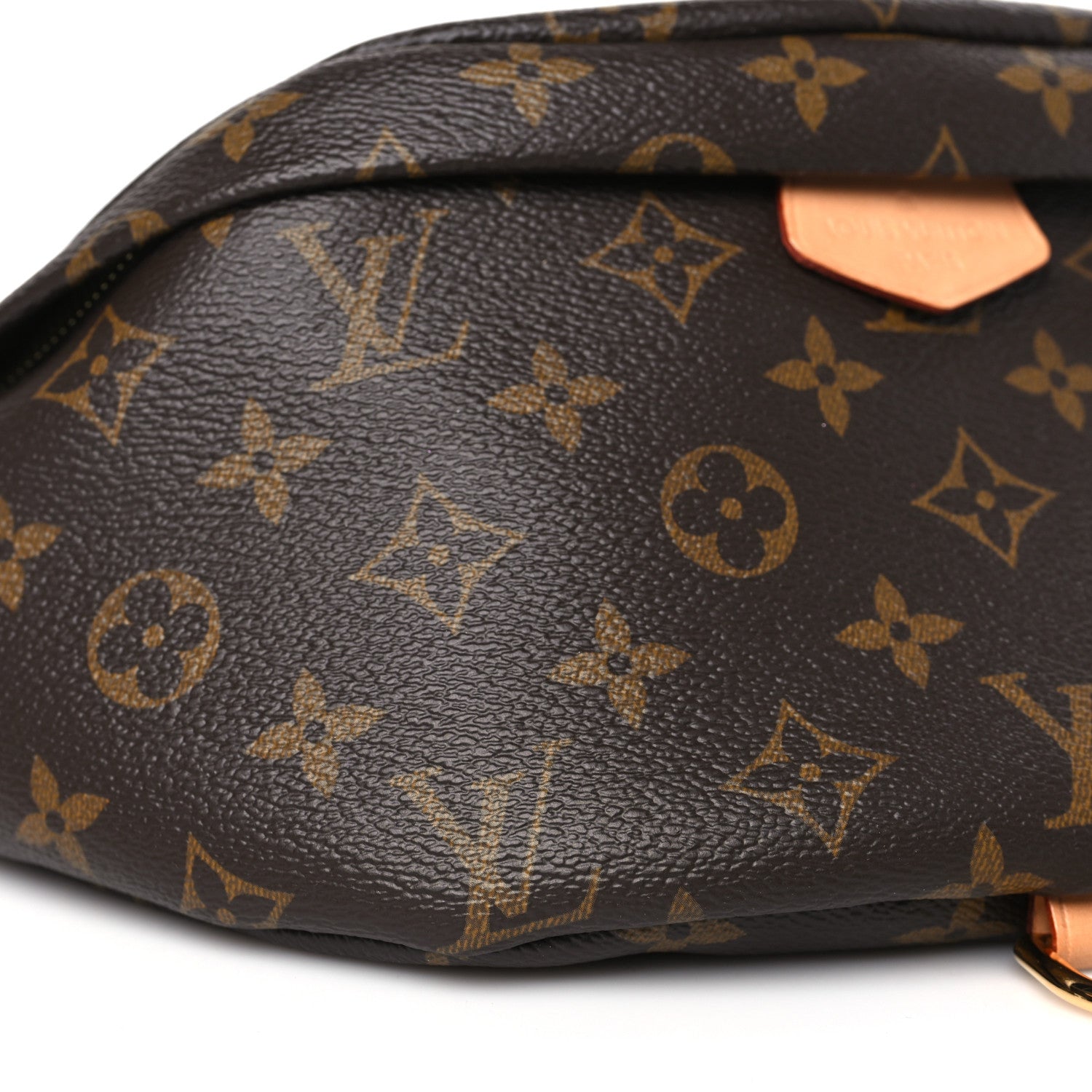 Louis Vuitton Monogram Bumbag 7 of 8