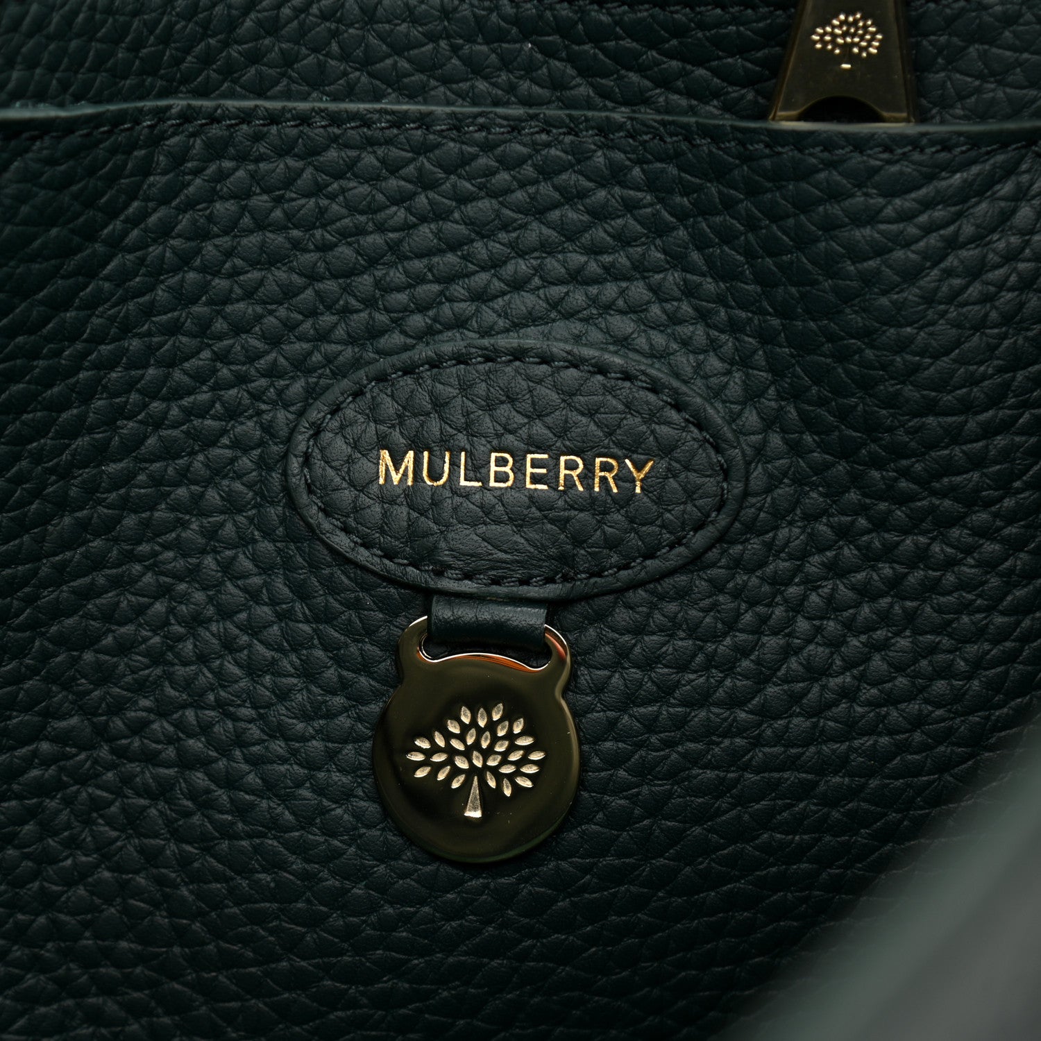 Mulberry Heavy Grain Bayswater Green 6 of 10