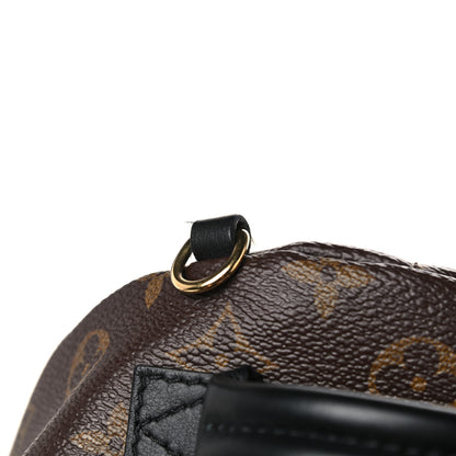 Louis Vuitton Monogram Palm Springs Backpack Mini 12 of 13