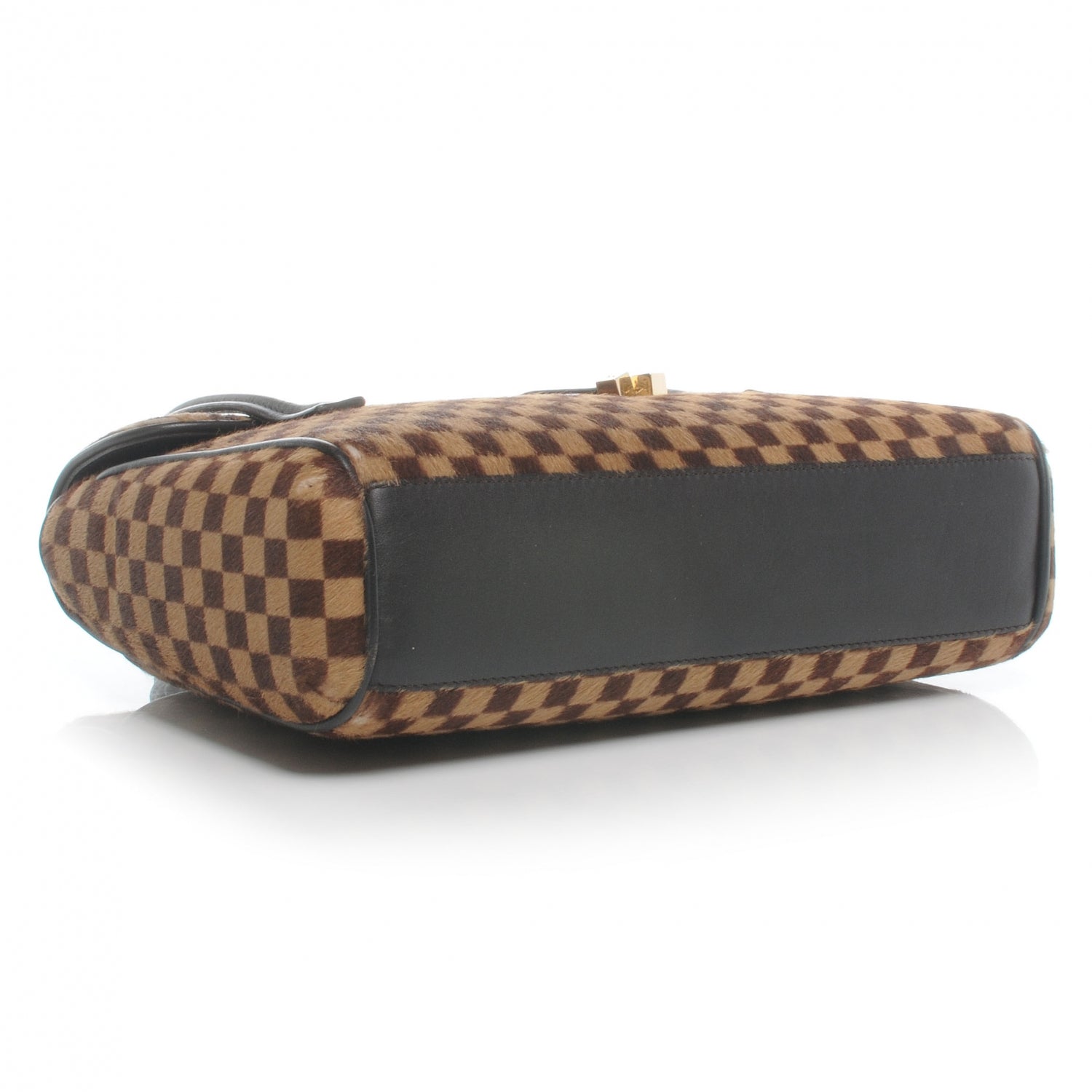 Louis Vuitton Damier Sauvage Lionne 4 of 10