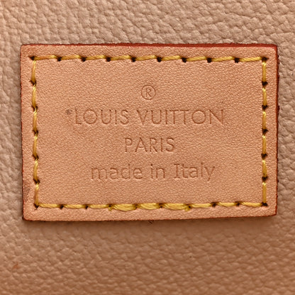 Louis Vuitton Monogram Nice Mini 6 of 6