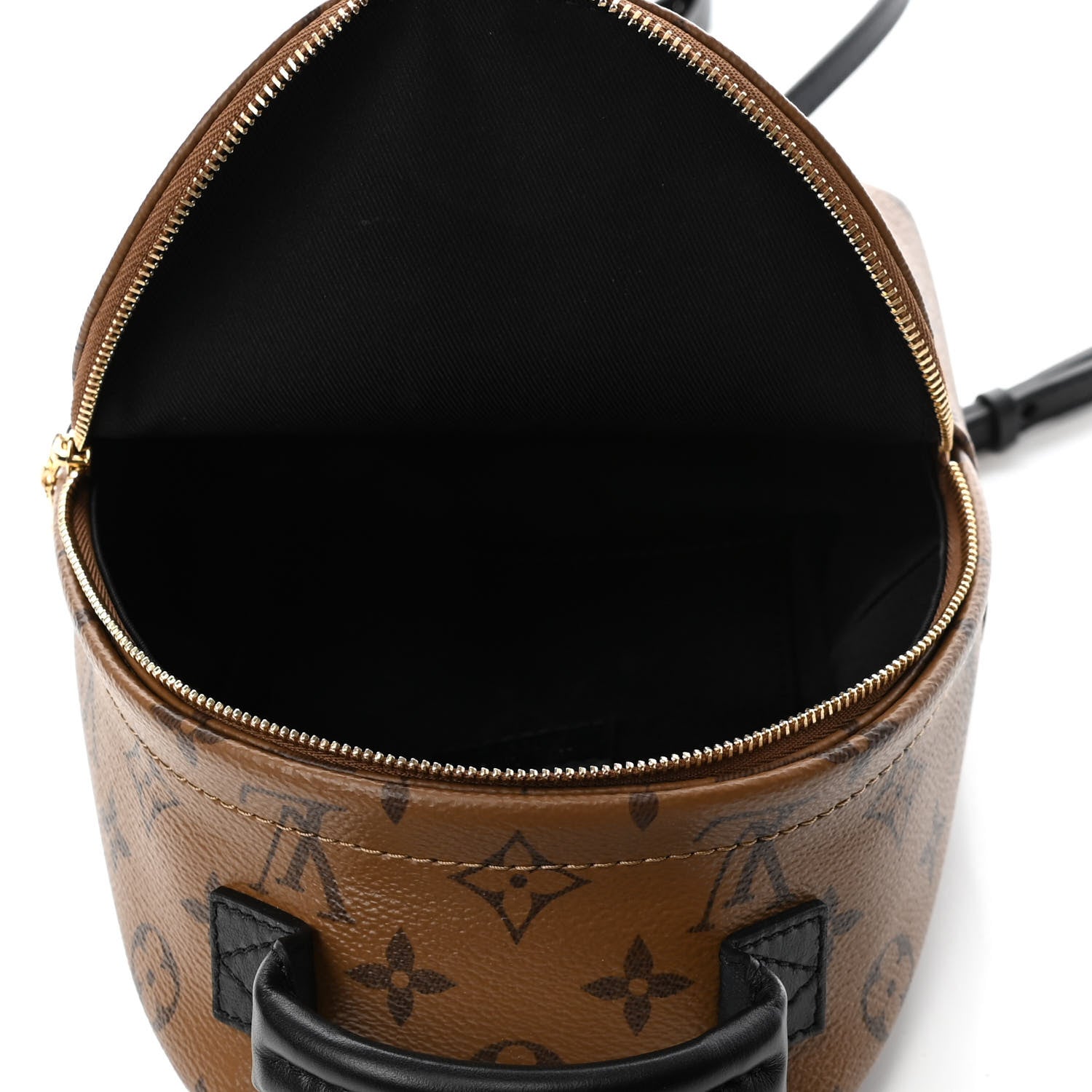Louis Vuitton Reverse Monogram Palm Springs Backpack Mini 4 of 4