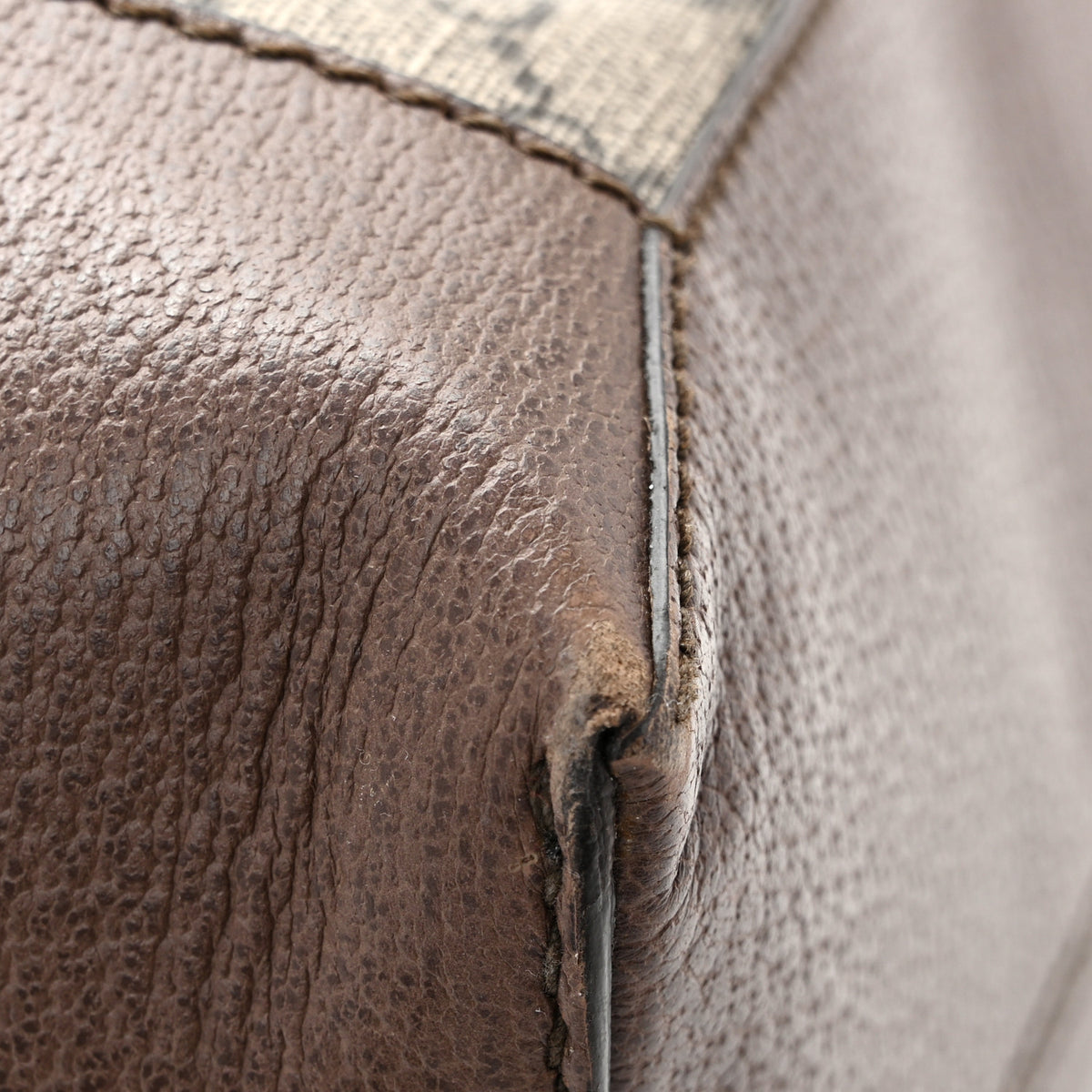 GG Supreme Monogram Web Ophidia Tote Brown