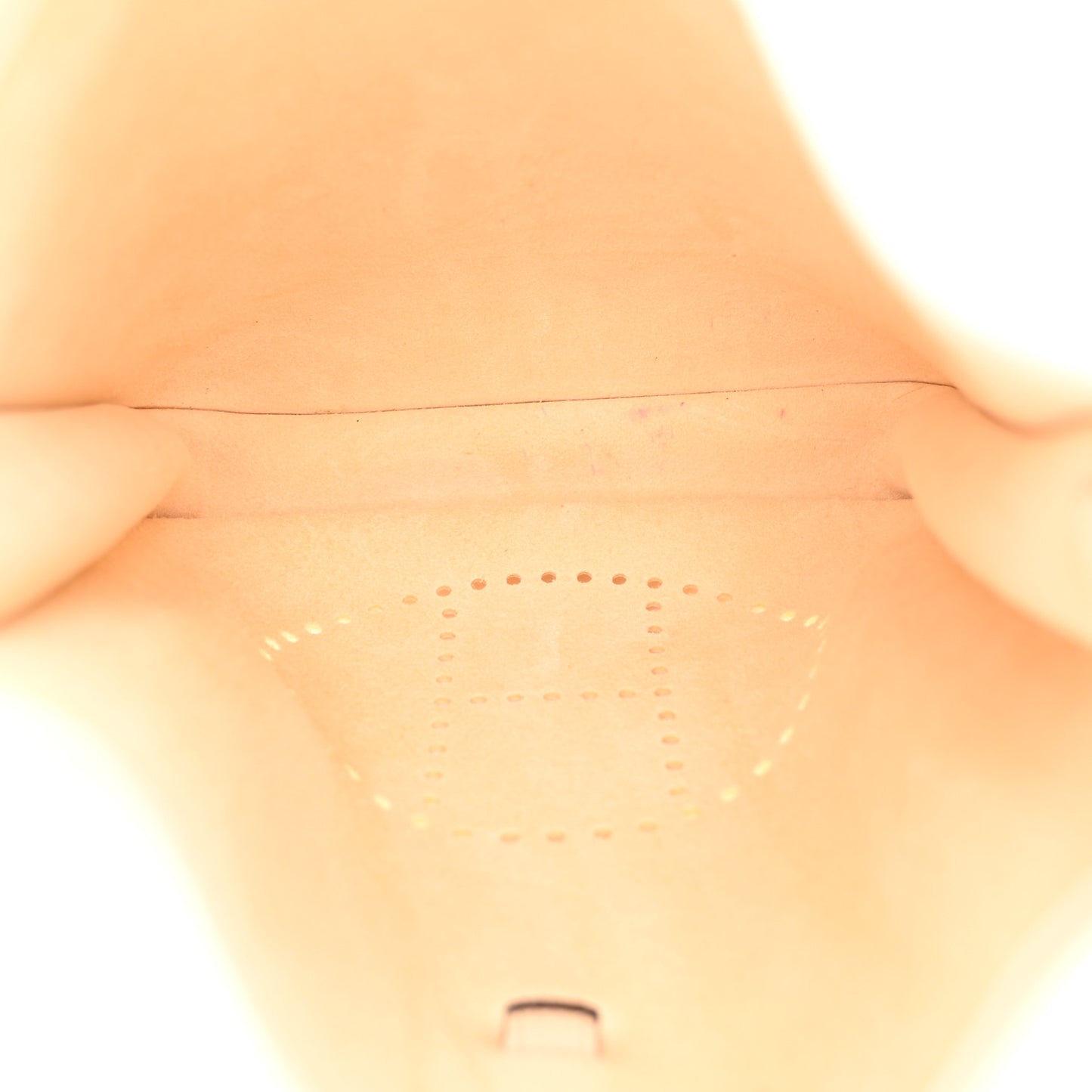 Taurillon Clemence Evelyne III PM Nata