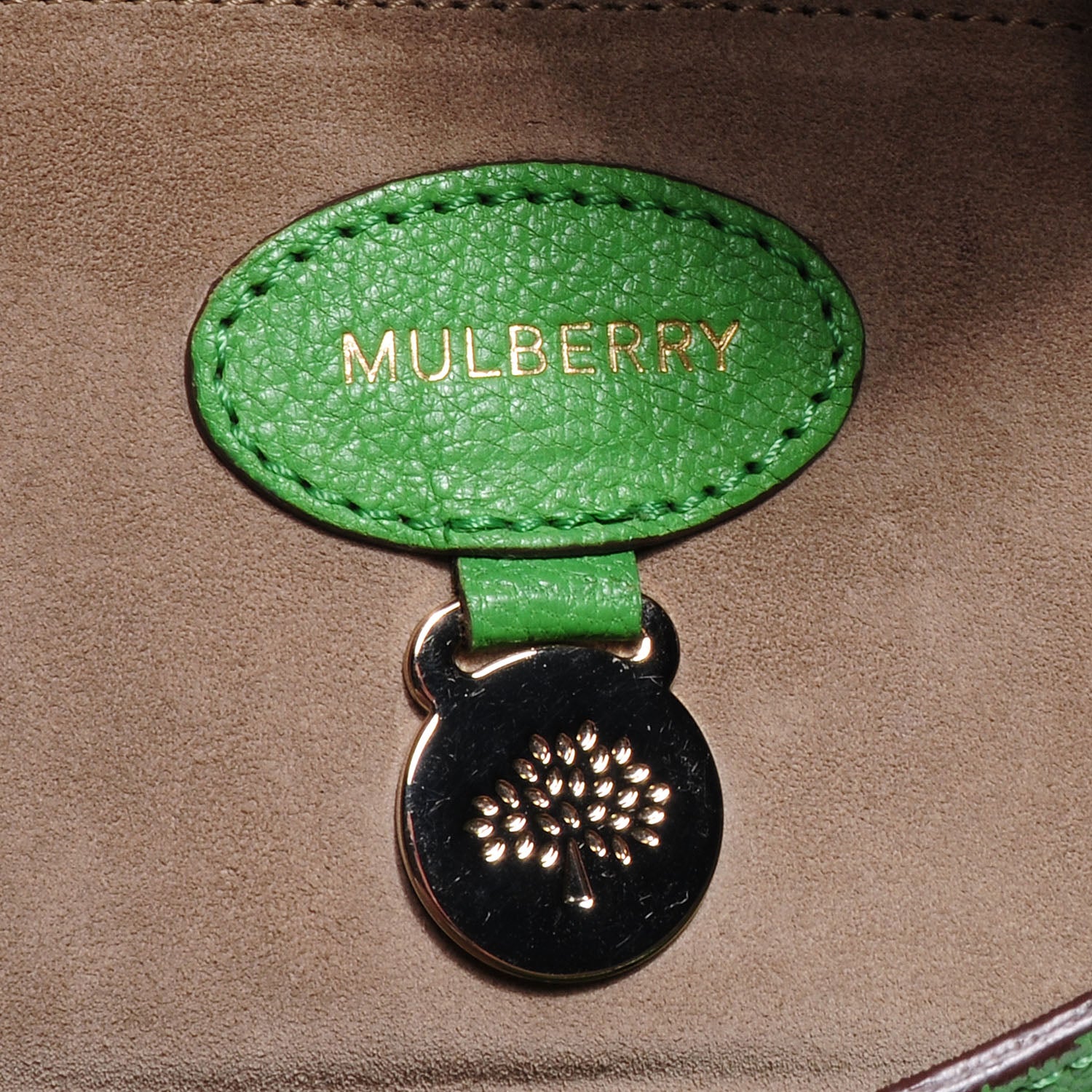 Mulberry Goatskin Bayswater Grass Green 7 of 10