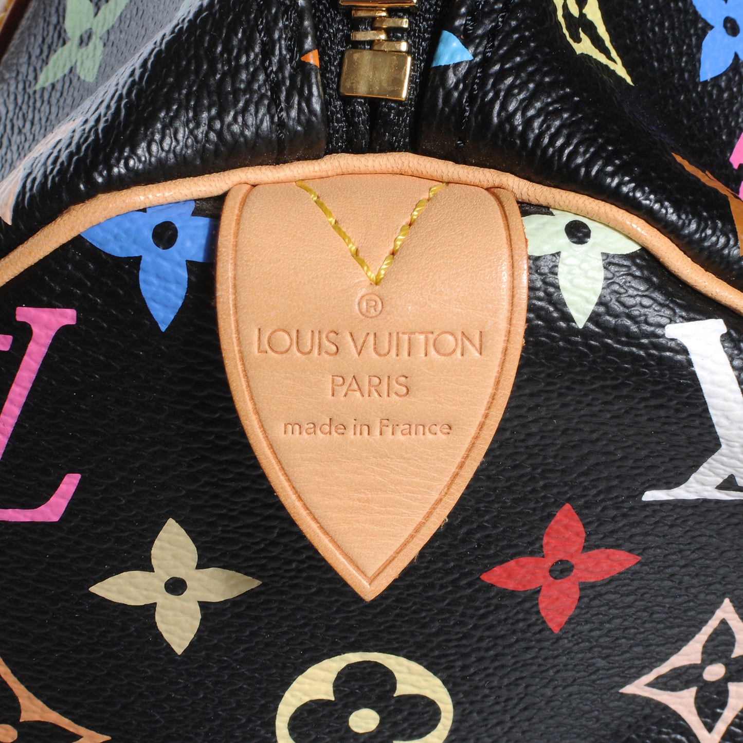 Monogram Multicolor Speedy 30 Black