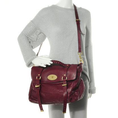 Mulberry Soft Buffalo Leather Alexa Medium Conker 2 of 13