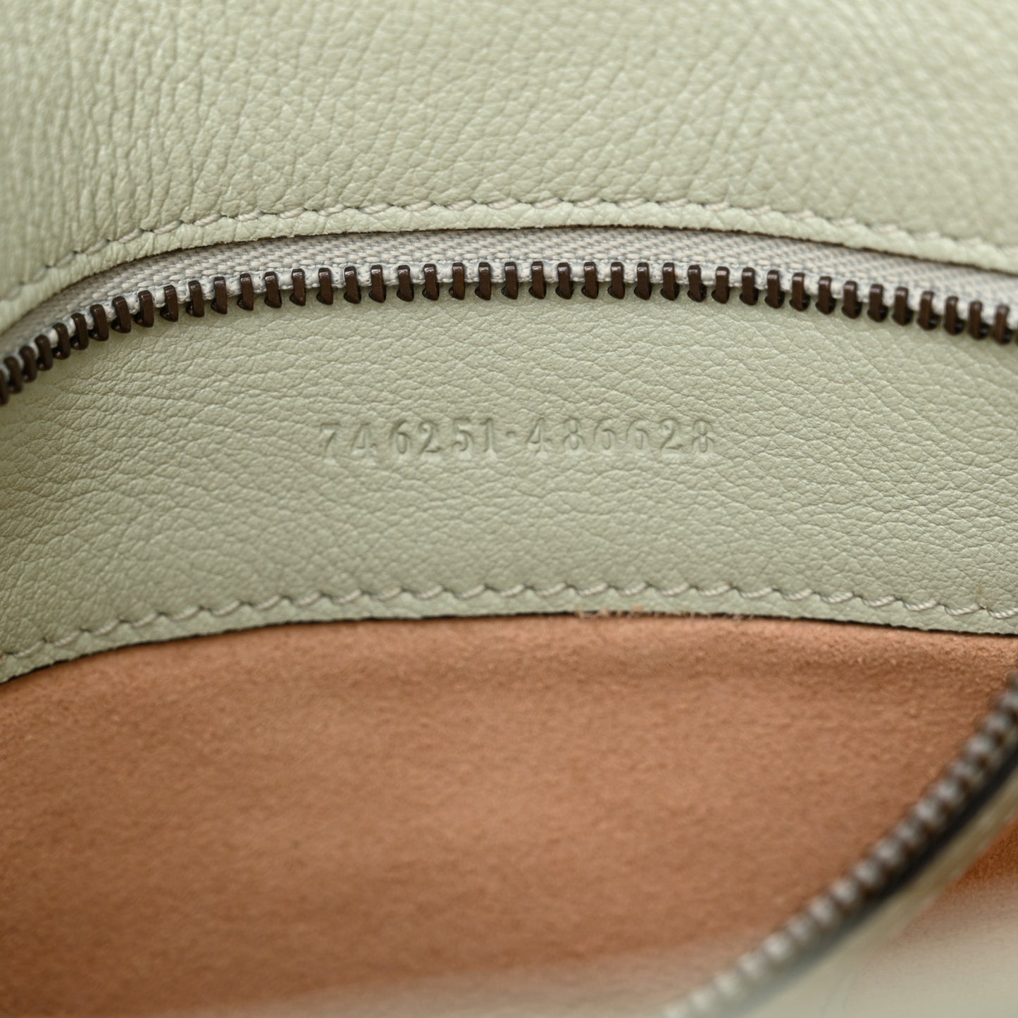 Softy Wonka Textured Dollar Calfskin Small Diana Shoulder Bag Pale Green
