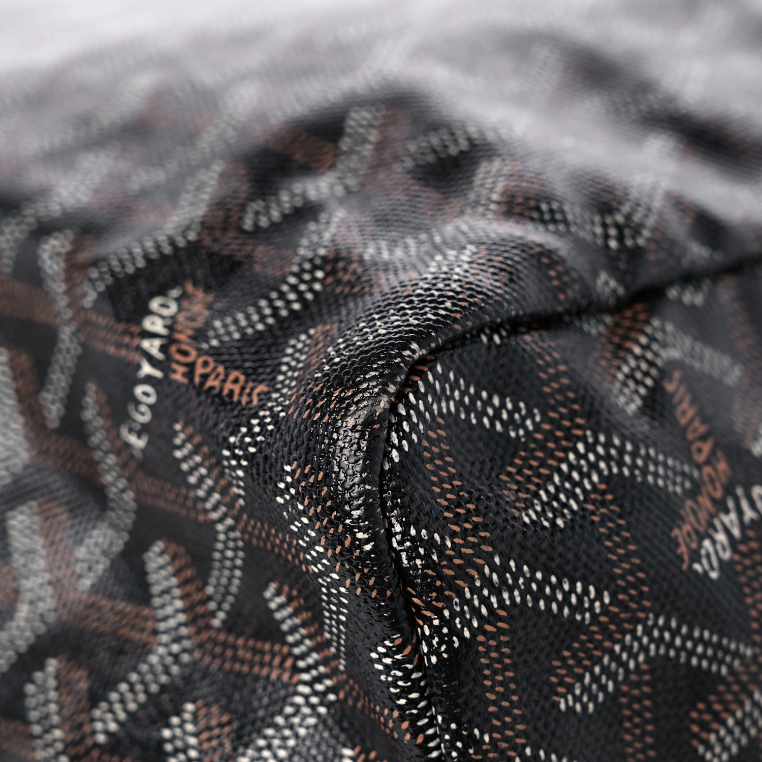Goyard Goyardine Saint Louis PM Black 11 of 15