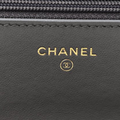 Chanel Lambskin Quilted Chanel 19 Wallet On Chain WOC Grey 6 of 12