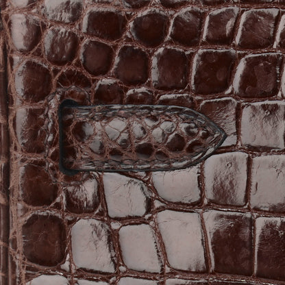 Hermes Shiny Niloticus Crocodile Birkin 25 Miel 11 of 41