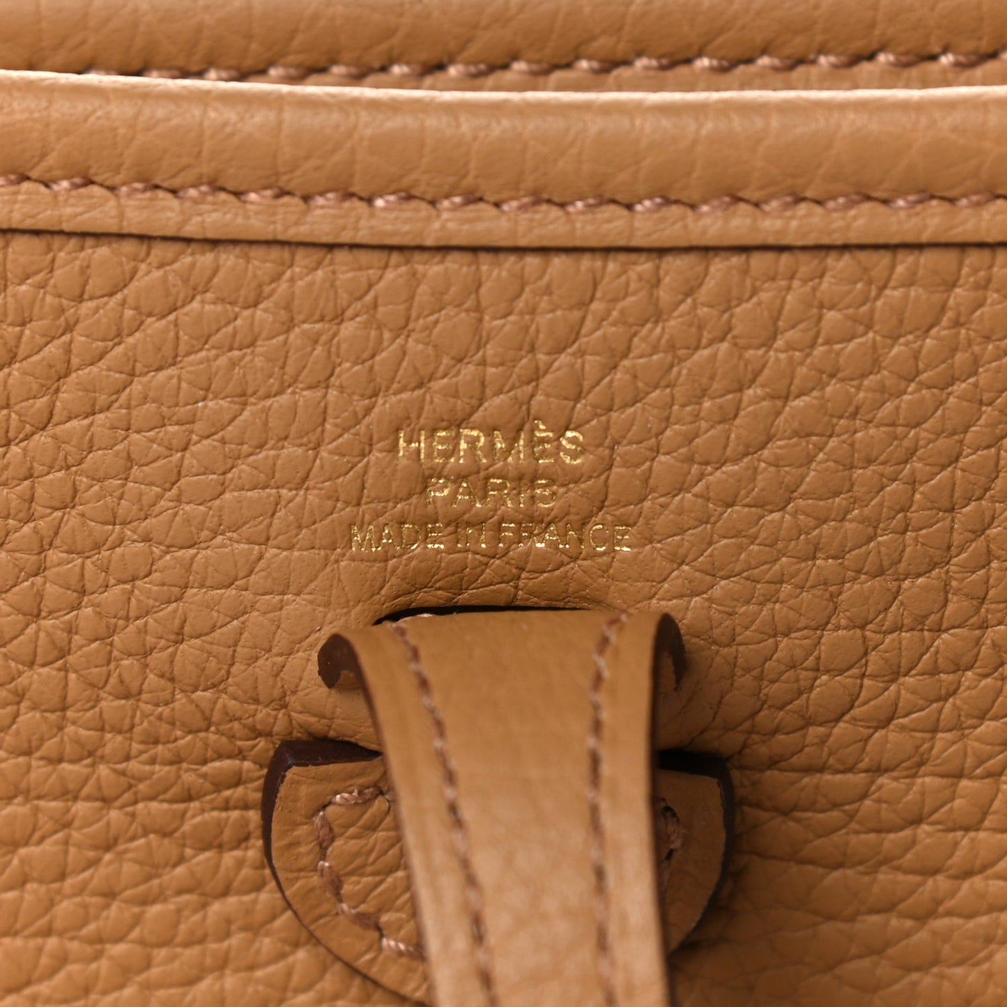 Taurillon Clemence Evelyne TPM Biscuit