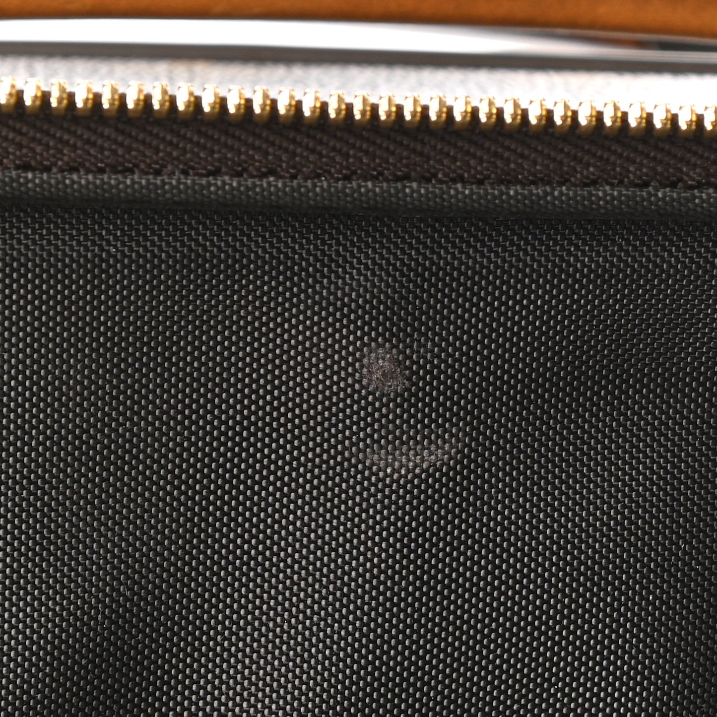 Monogram Pegase 55