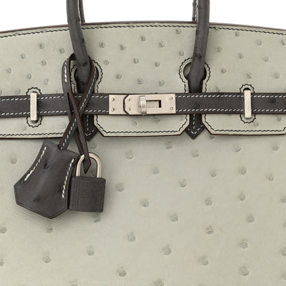 Hermes Ostrich Horseshoe Birkin 25 Gris Perle Gris Meyer 8 of 12