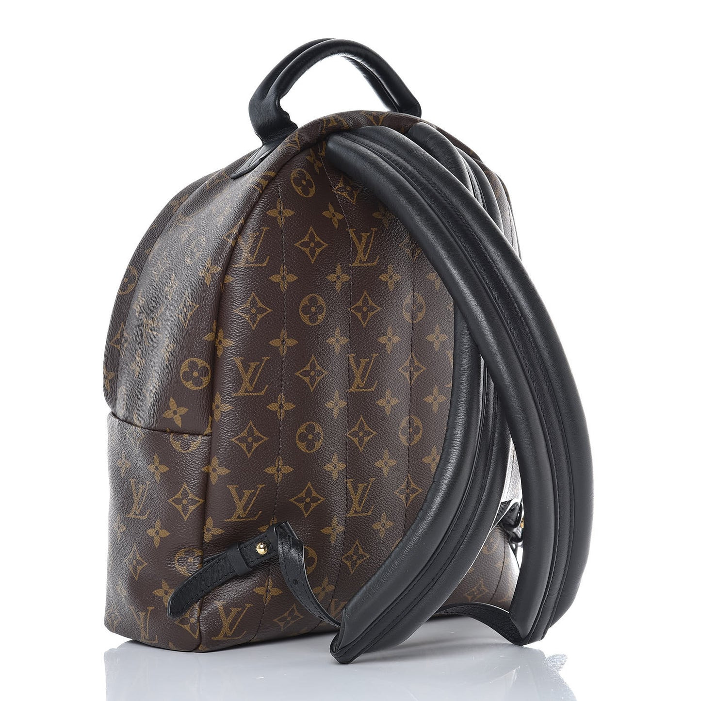 Monogram Palm Springs Backpack MM