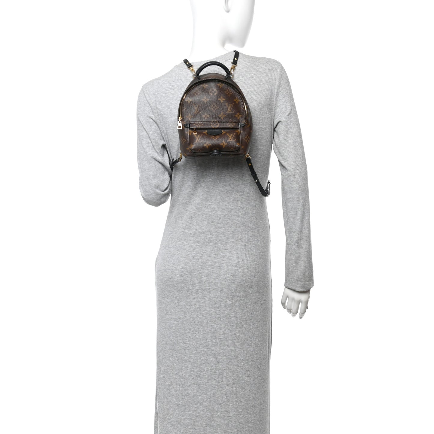 Monogram Palm Springs Backpack Mini