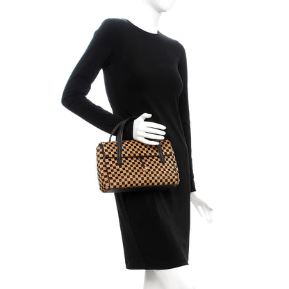 Louis Vuitton Damier Calf Hair Sauvage Lionne 2 of 13