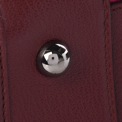 Loewe Goatskin Amazona Pink 18 of 18