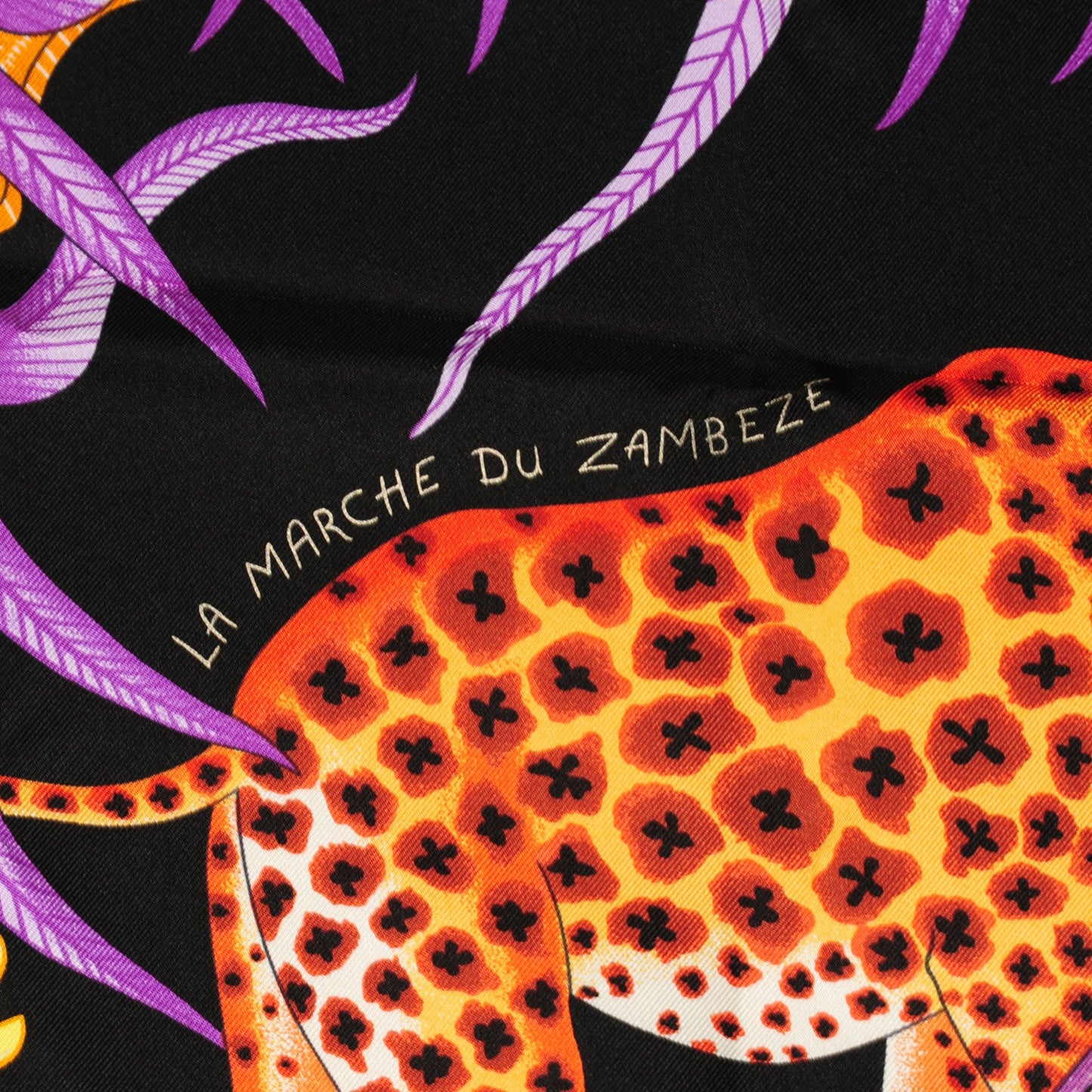 Silk La Marche Du Zambeze Scarf 90 Nero Corail Vert