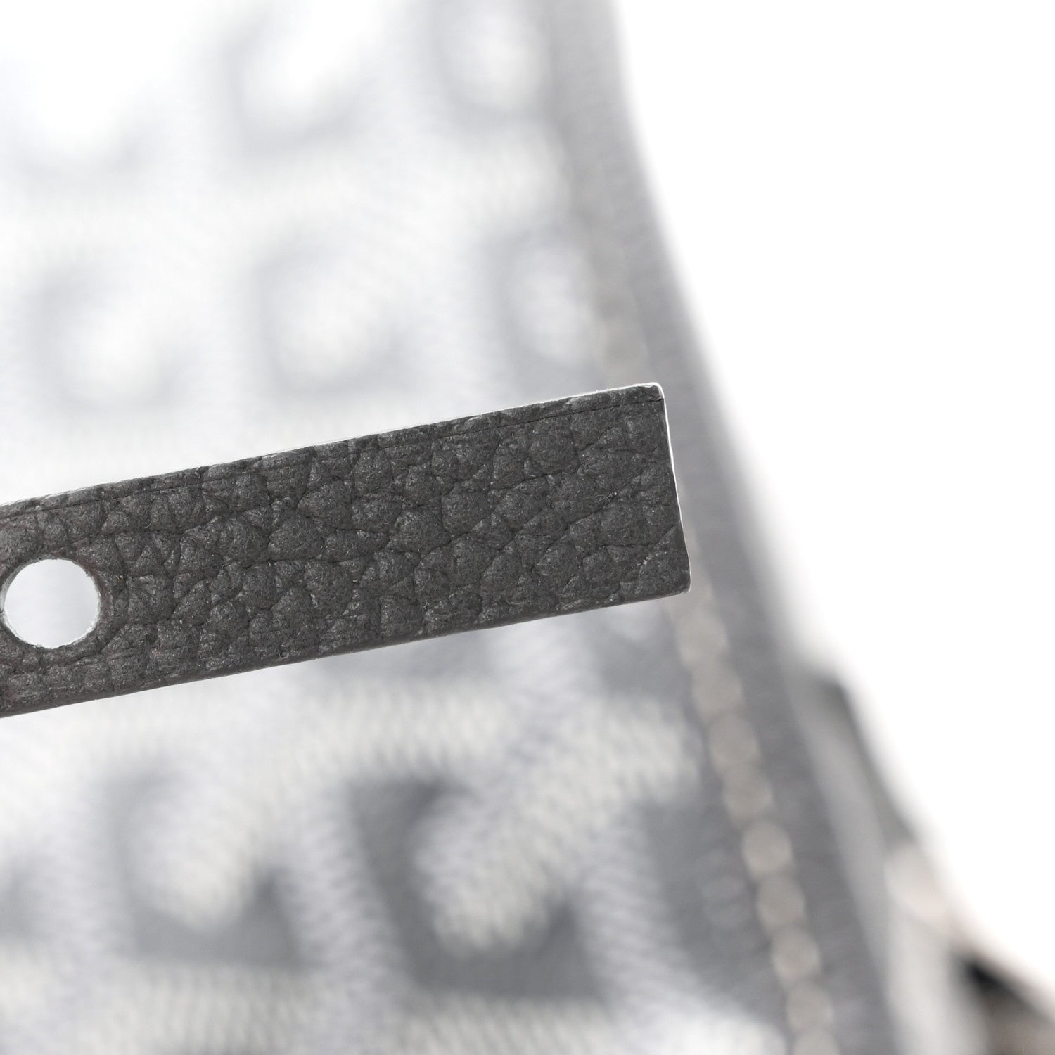 Goyard Goyardine Sac Hardy Pet Carrier PM Grey 9 of 13