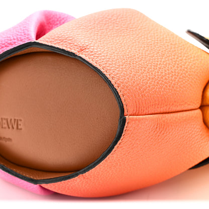 Loewe Calfskin Mini Elephant Crossbody Bag Ombre 9 of 9