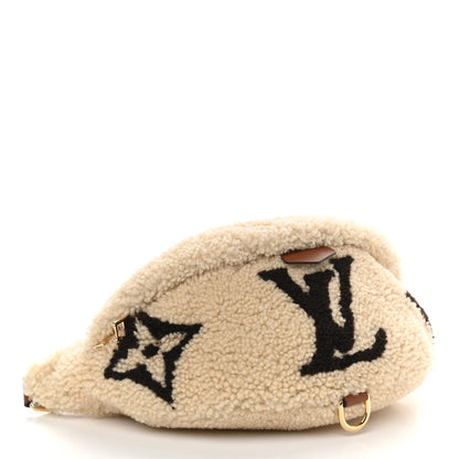 Louis Vuitton Monogram Teddy Bumbag 4 of 8