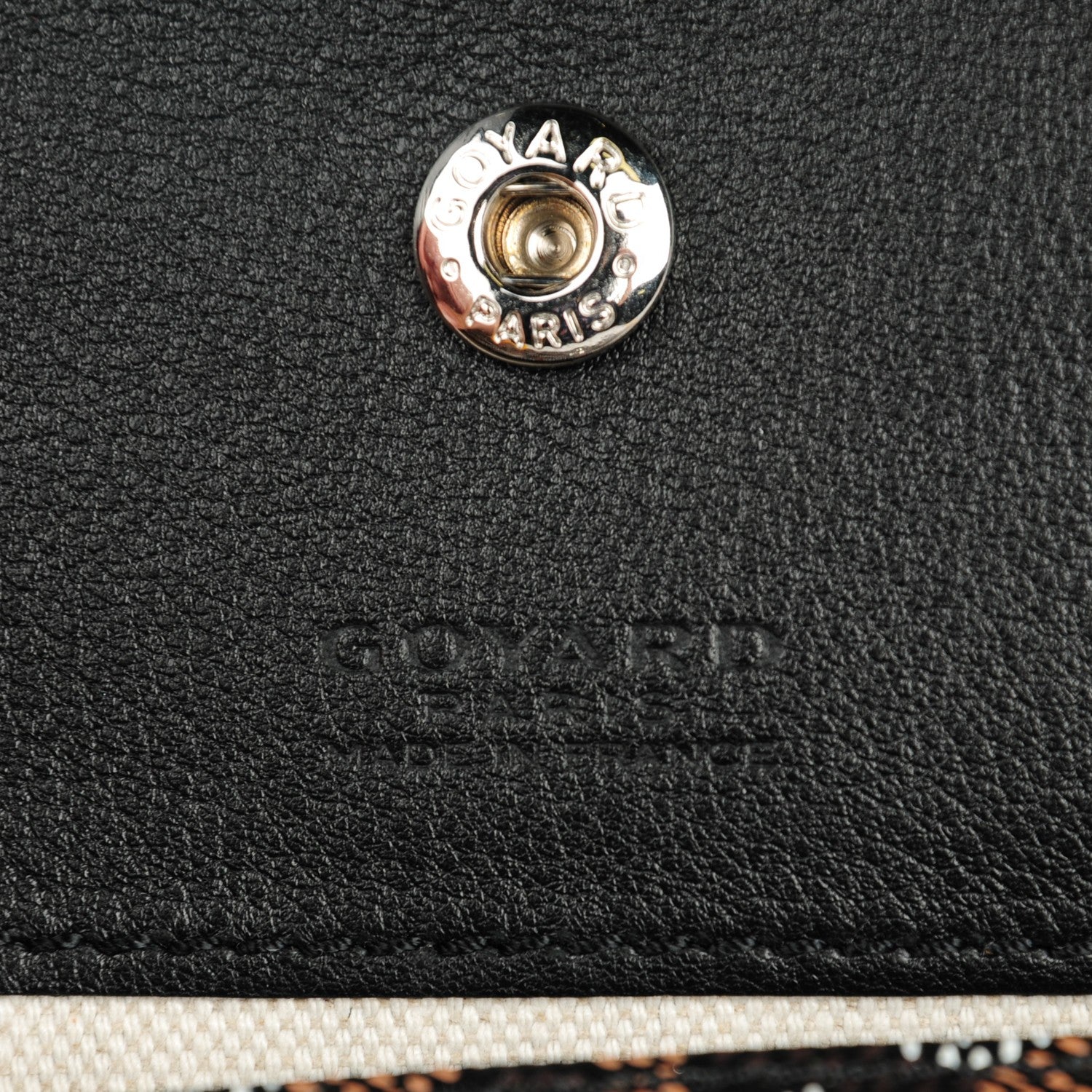 Goyard Goyardine Saint Louis PM Black 7 of 8