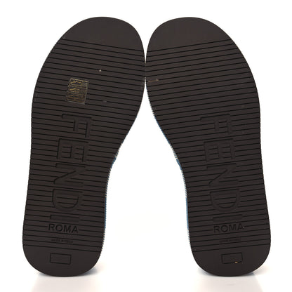 Fendi Denim Jacquard Womens FF Sunshine Flatform Slide Sandals 39 Light Blue 6 of 10