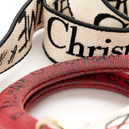 Christian Dior Canvas Medium DiorAmour Graffiti Lady D-Lite Latte 12 of 12