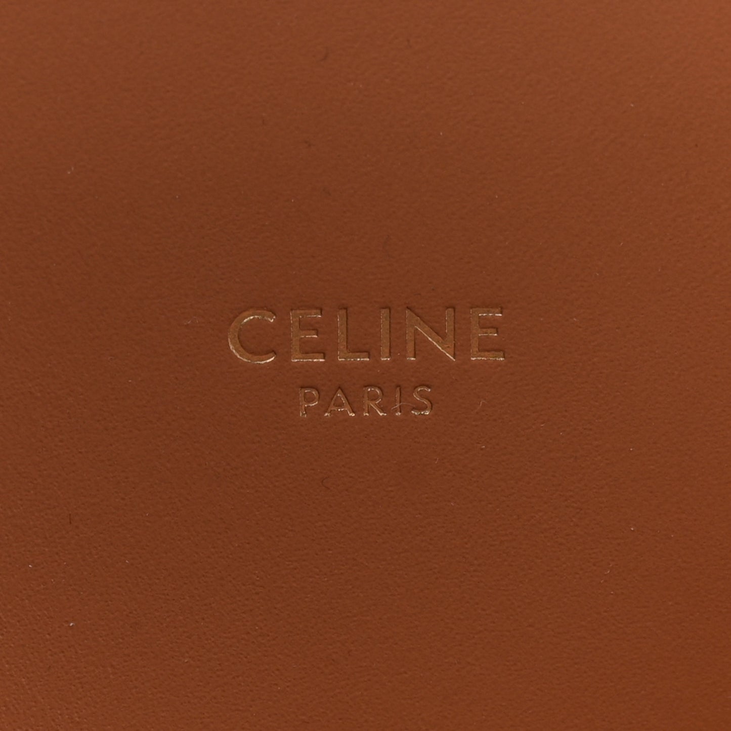 Canvas Calfskin Logo Print Small Vertical Cabas Natural Tan