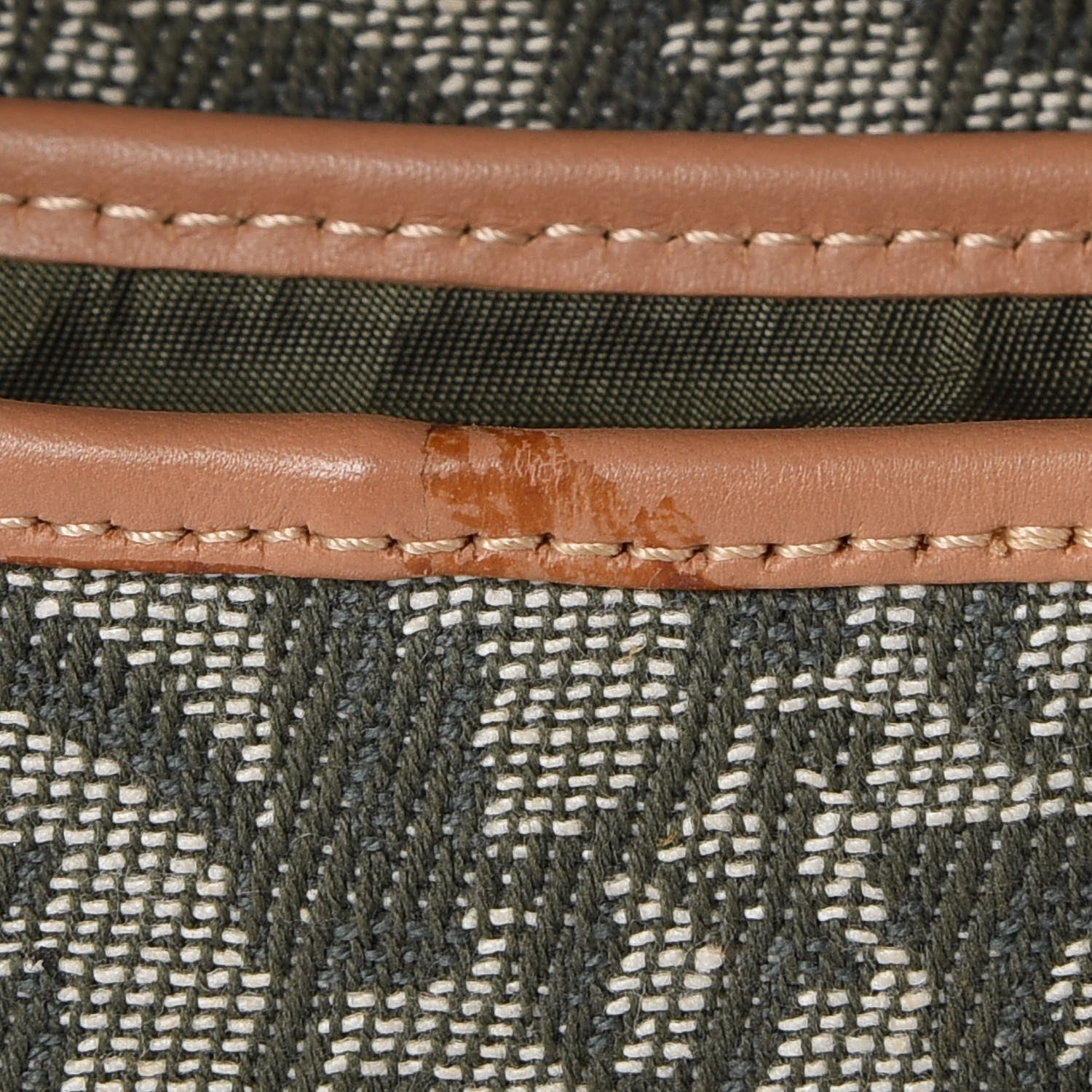 Christian Dior Monogram Double Saddle Bag Green 8 of 13