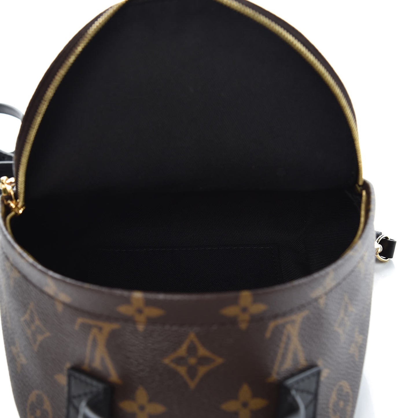 Monogram Palm Springs Backpack Mini