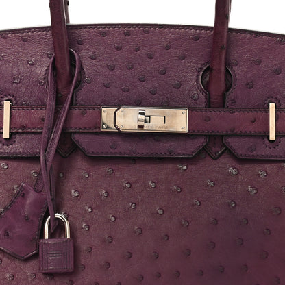 Hermes Ostrich Birkin 30 Violine 8 of 10