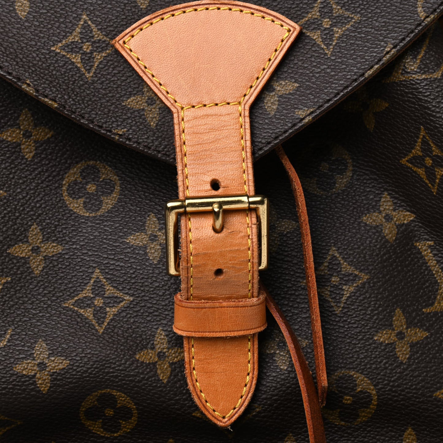Monogram Montsouris GM Backpack