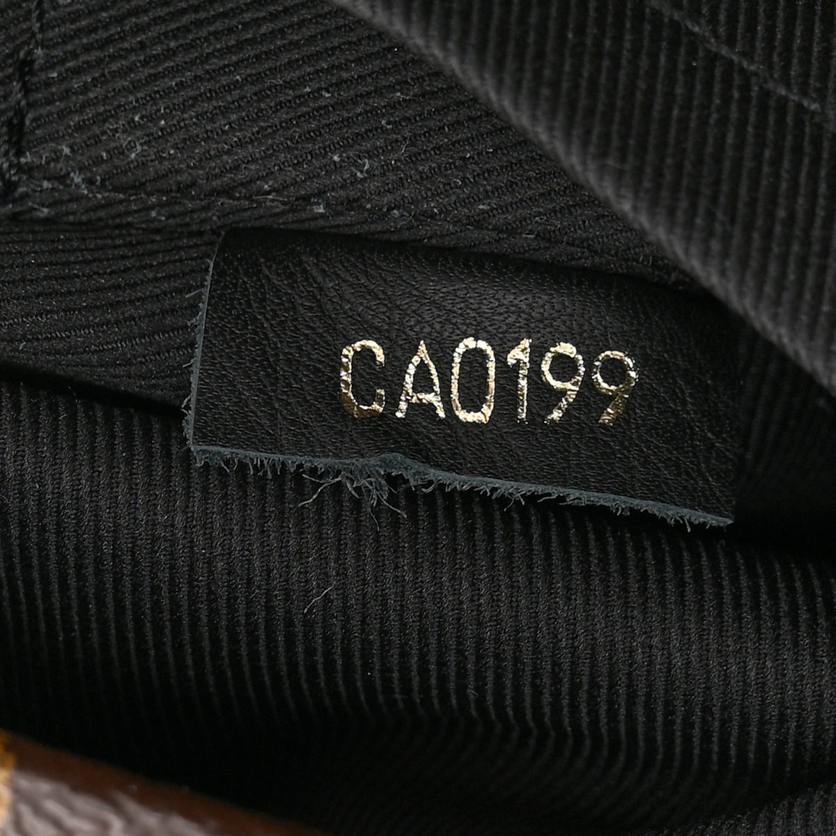 Monogram Palm Springs Backpack Mini