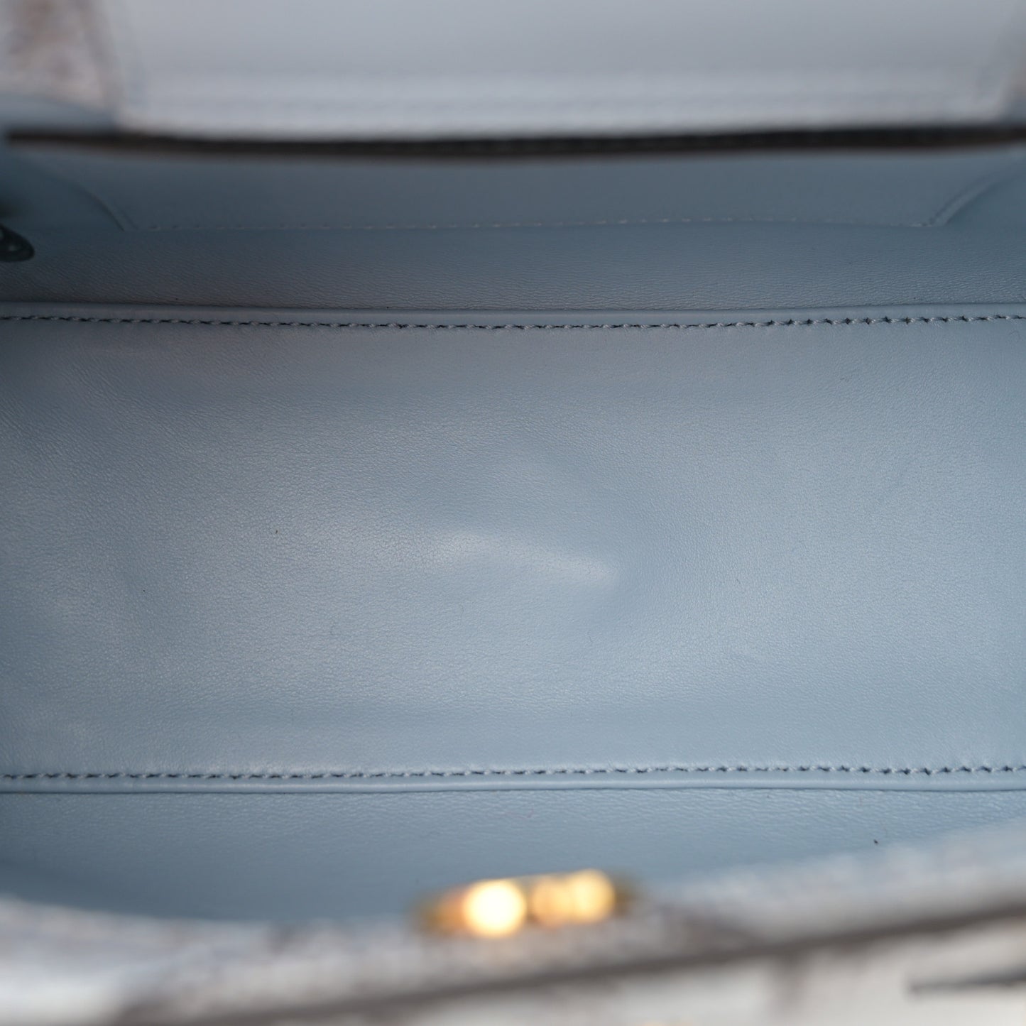 Snakeskin Mini Diana Tote Bag Blue