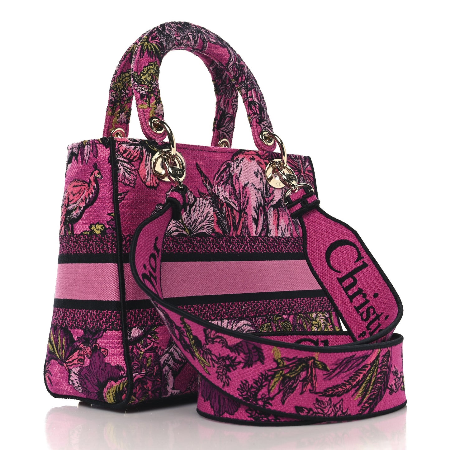 Toile de Jouy Voyage Embroidered Medium Lady D-Lite Fuchsia Multicolor