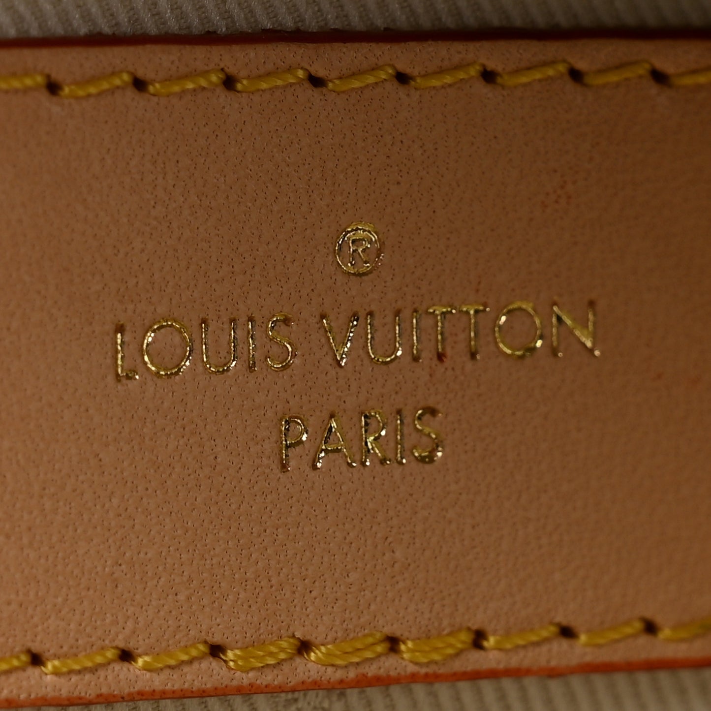 Monogram High Rise Bumbag