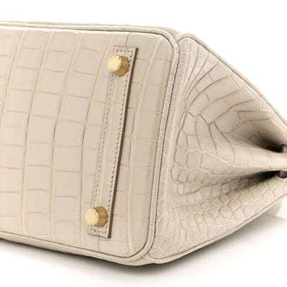 Hermes Matte Alligator Birkin 25 Beton 8 of 10